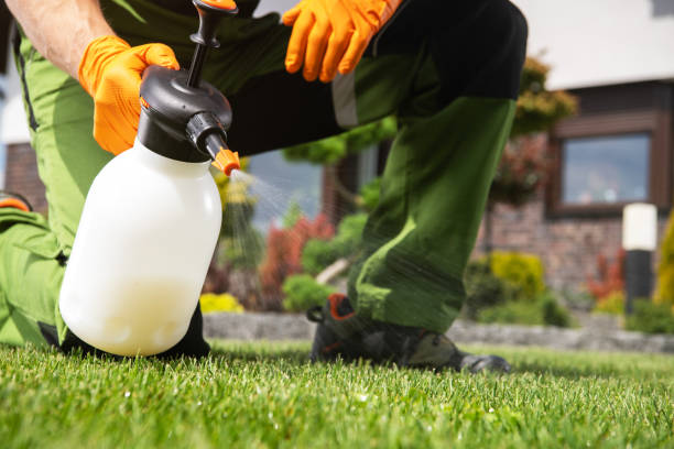 Best Affordable Pest Control Services  in Rock Hall, MD