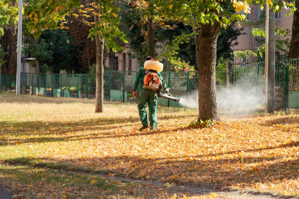 Best Pest Inspection Near Me  in Rock Hall, MD
