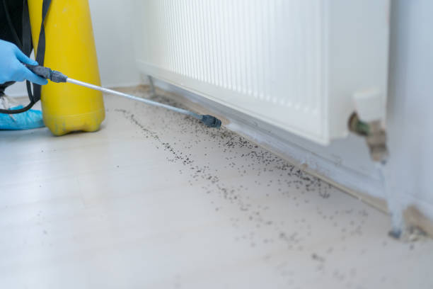 Best Wildlife Control Services  in Rock Hall, MD