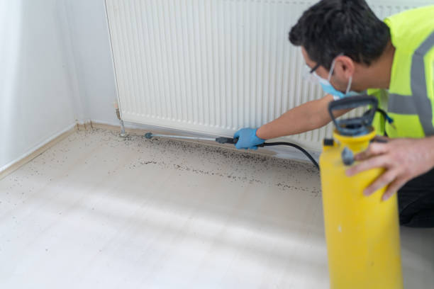 Wasp Removal Services in Rock Hall, MD